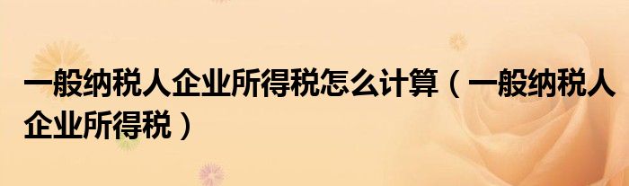 一般纳税人企业所得税怎么计算（一般纳税人企业所得税）