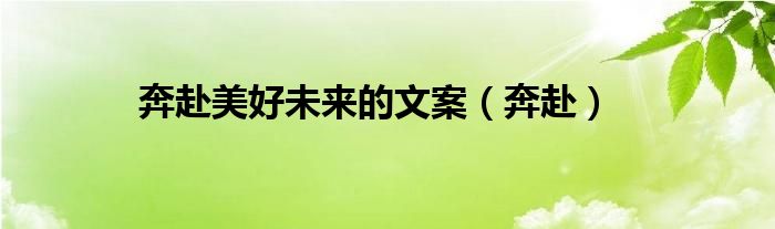 奔赴美好未来的文案（奔赴）