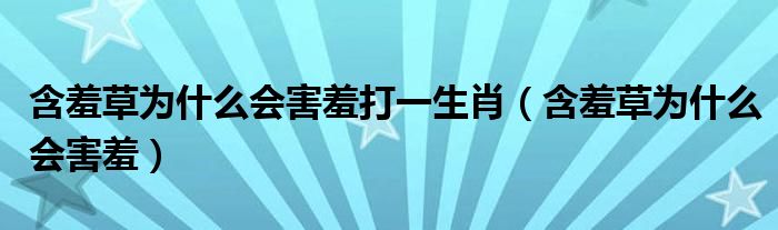 含羞草为什么会害羞打一生肖（含羞草为什么会害羞）