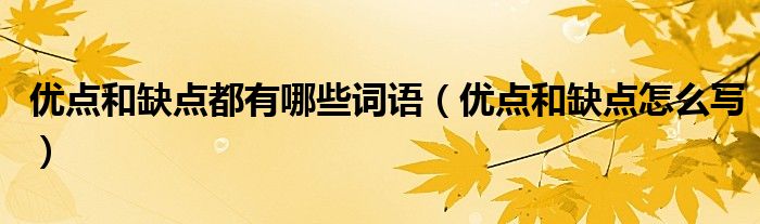优点和缺点都有哪些词语（优点和缺点怎么写）