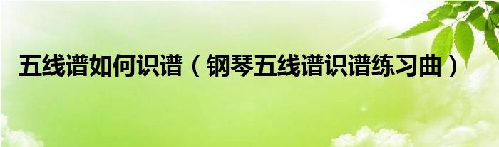 五线谱如何识谱（钢琴五线谱识谱练习曲）