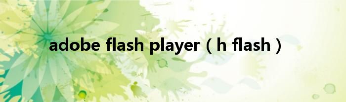 adobe flash player（h flash）