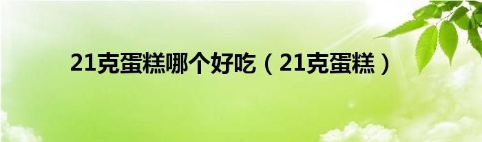 21克蛋糕哪个好吃（21克蛋糕）