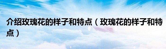 介绍玫瑰花的样子和特点（玫瑰花的样子和特点）