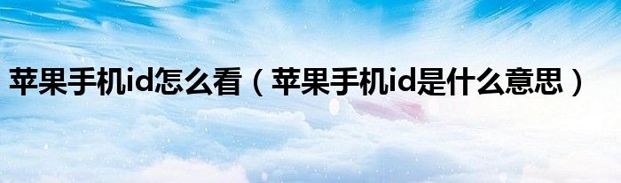 苹果手机id怎么看（苹果手机id是什么意思）