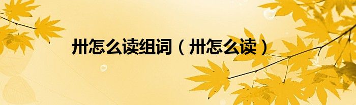 卅怎么读组词（卅怎么读）