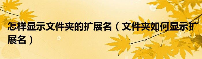 怎样显示文件夹的扩展名（文件夹如何显示扩展名）