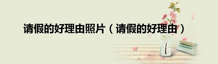 请假的好理由照片（请假的好理由）