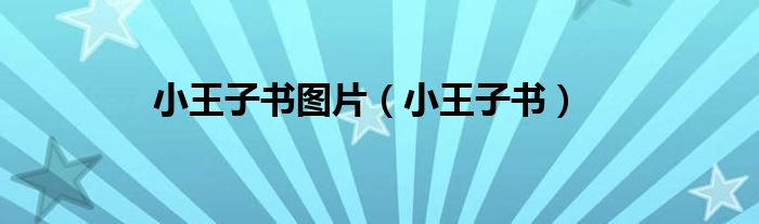 小王子书图片（小王子书）
