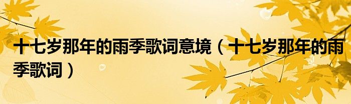 十七岁那年的雨季歌词意境（十七岁那年的雨季歌词）