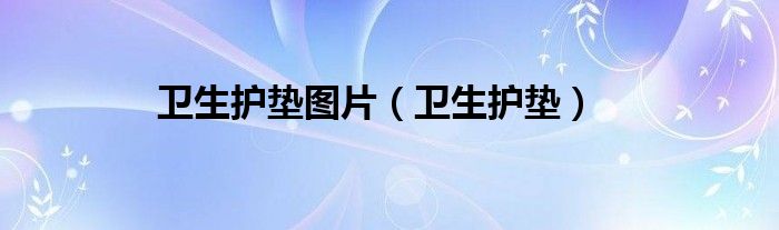 卫生护垫图片（卫生护垫）