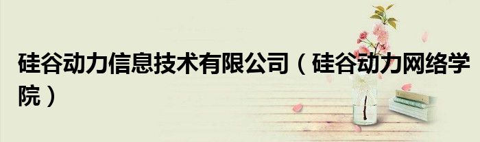 硅谷动力信息技术有限公司（硅谷动力网络学院）