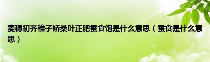麦穗初齐稚子娇桑叶正肥蚕食饱是什么意思（蚕食是什么意思）