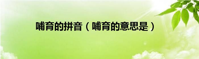 哺育的拼音（哺育的意思是）