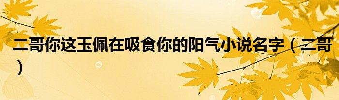 二哥你这玉佩在吸食你的阳气小说名字（二哥）