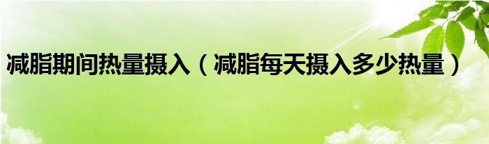 减脂期间热量摄入（减脂每天摄入多少热量）
