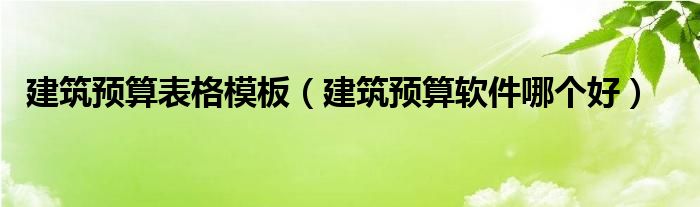 建筑预算表格模板（建筑预算软件哪个好）