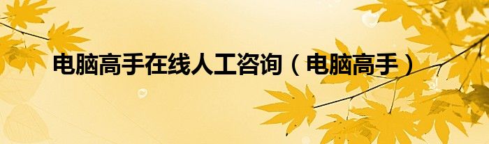 电脑高手在线人工咨询（电脑高手）