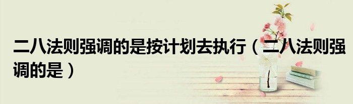 二八法则强调的是按计划去执行（二八法则强调的是）