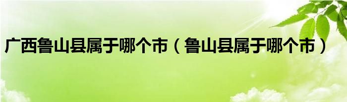 广西鲁山县属于哪个市（鲁山县属于哪个市）