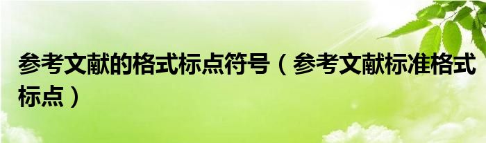 参考文献的格式标点符号（参考文献标准格式标点）