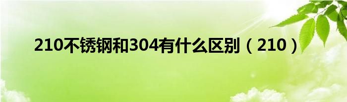 210不锈钢和304有什么区别（210）