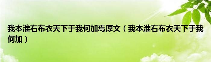 我本淮右布衣天下于我何加焉原文（我本淮右布衣天下于我何加）