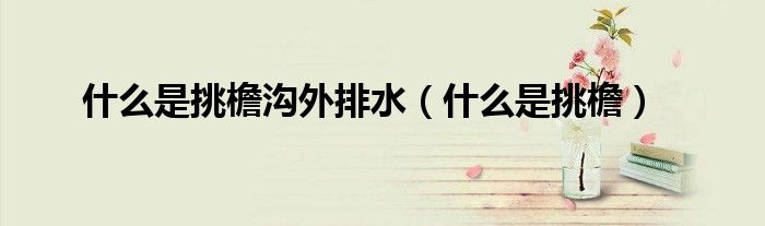 什么是挑檐沟外排水（什么是挑檐）