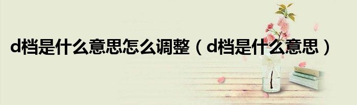 d档是什么意思怎么调整（d档是什么意思）