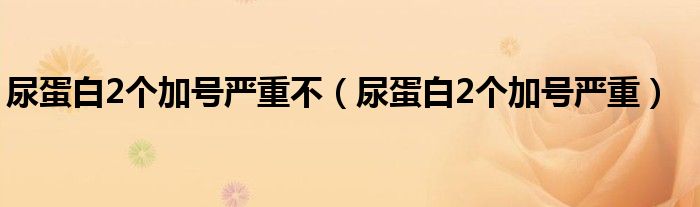 尿蛋白2个加号严重不（尿蛋白2个加号严重）