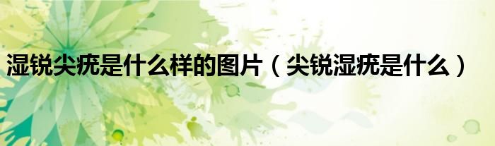 湿锐尖疣是什么样的图片（尖锐湿疣是什么）