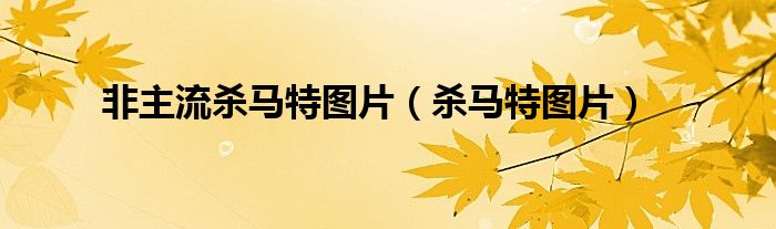 非主流杀马特图片（杀马特图片）
