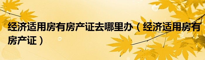 经济适用房有房产证去哪里办（经济适用房有房产证）