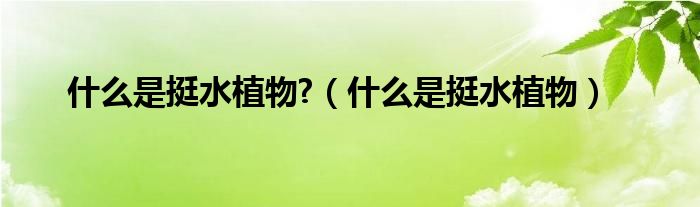 什么是挺水植物?（什么是挺水植物）