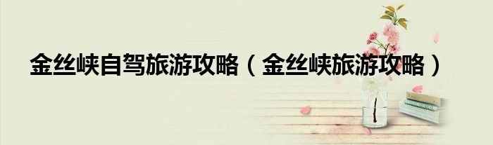金丝峡自驾旅游攻略（金丝峡旅游攻略）