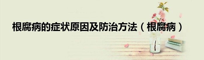 根腐病的症状原因及防治方法（根腐病）