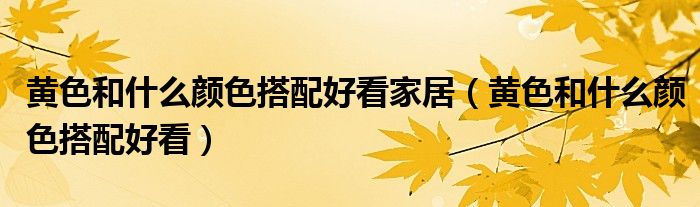 黄色和什么颜色搭配好看家居（黄色和什么颜色搭配好看）