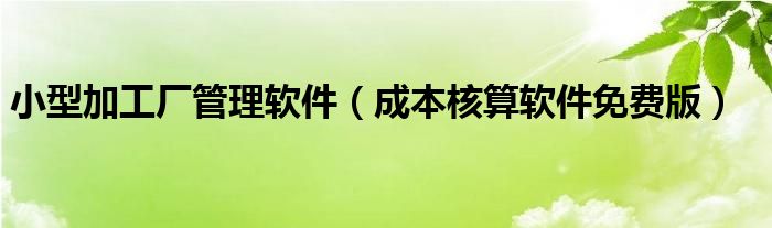 小型加工厂管理软件（成本核算软件免费版）