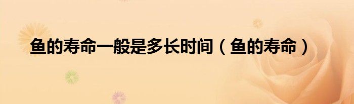 鱼的寿命一般是多长时间（鱼的寿命）