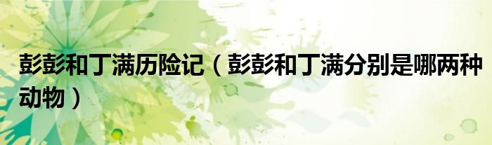 彭彭和丁满历险记（彭彭和丁满分别是哪两种动物）