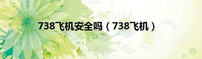 738飞机安全吗（738飞机）