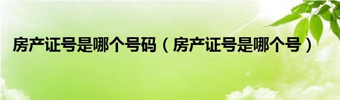 房产证号是哪个号码（房产证号是哪个号）