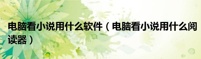 电脑看小说用什么软件（电脑看小说用什么阅读器）