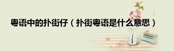 粤语中的扑街仔（扑街粤语是什么意思）