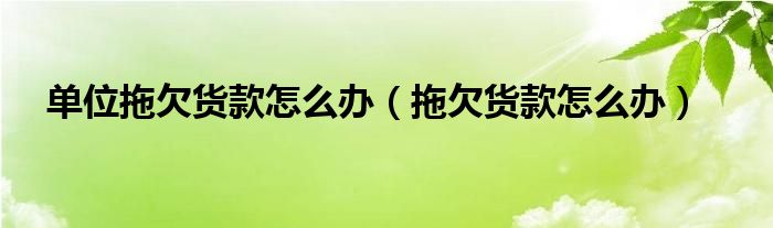 单位拖欠货款怎么办（拖欠货款怎么办）