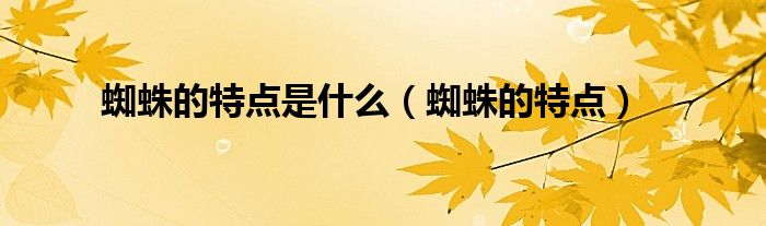 蜘蛛的特点是什么（蜘蛛的特点）