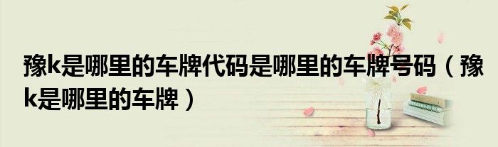 豫k是哪里的车牌代码是哪里的车牌号码（豫k是哪里的车牌）