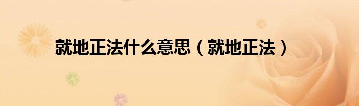 就地正法什么意思（就地正法）