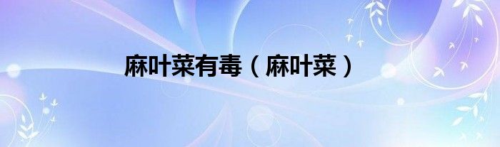 麻叶菜有毒（麻叶菜）