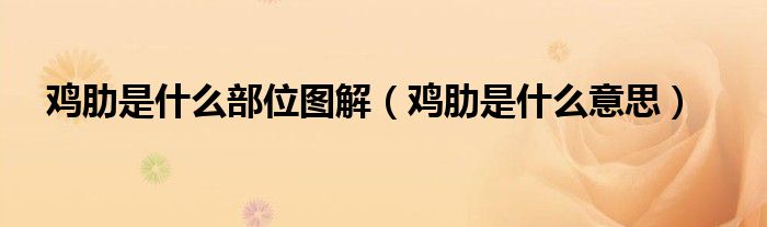 鸡肋是什么部位图解（鸡肋是什么意思）